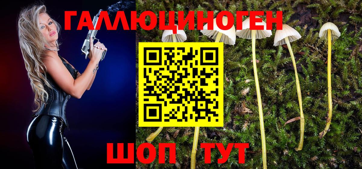 Галлюциногенные грибы Psilocybine cubensis  Псилоцибиновые грибы Magic Shrooms  Солнечногорск  Вход с VPN 