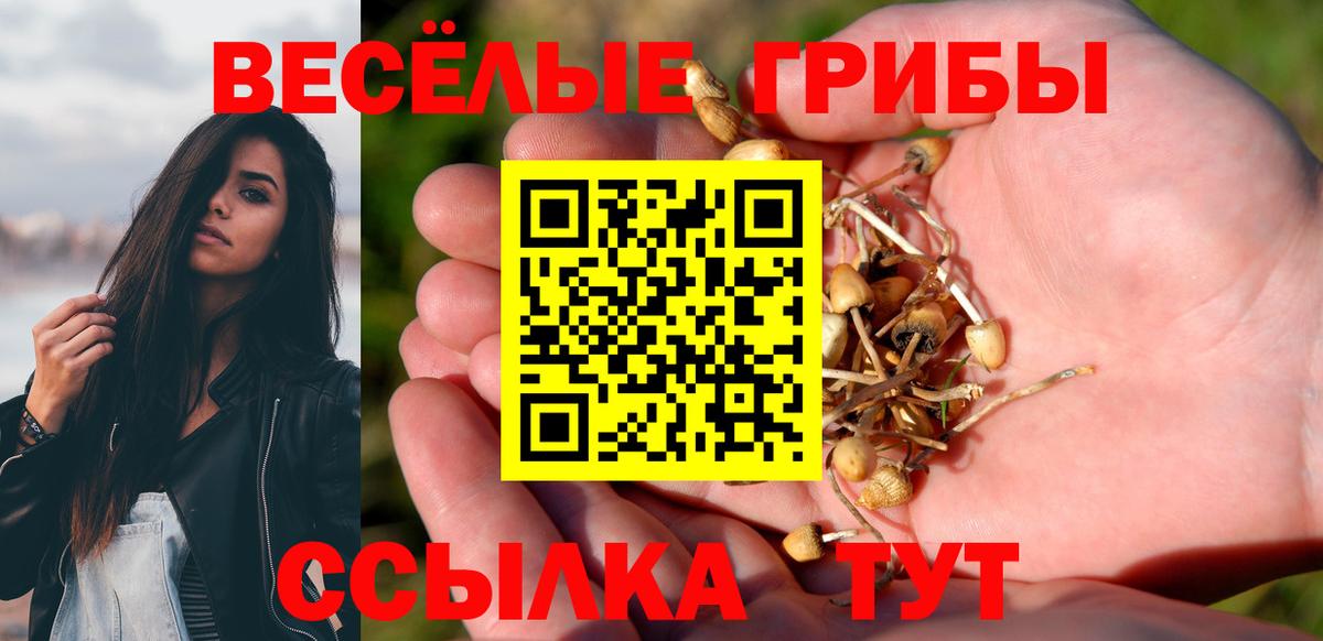 Галлюциногенные грибы прущие грибы Солнечногорск